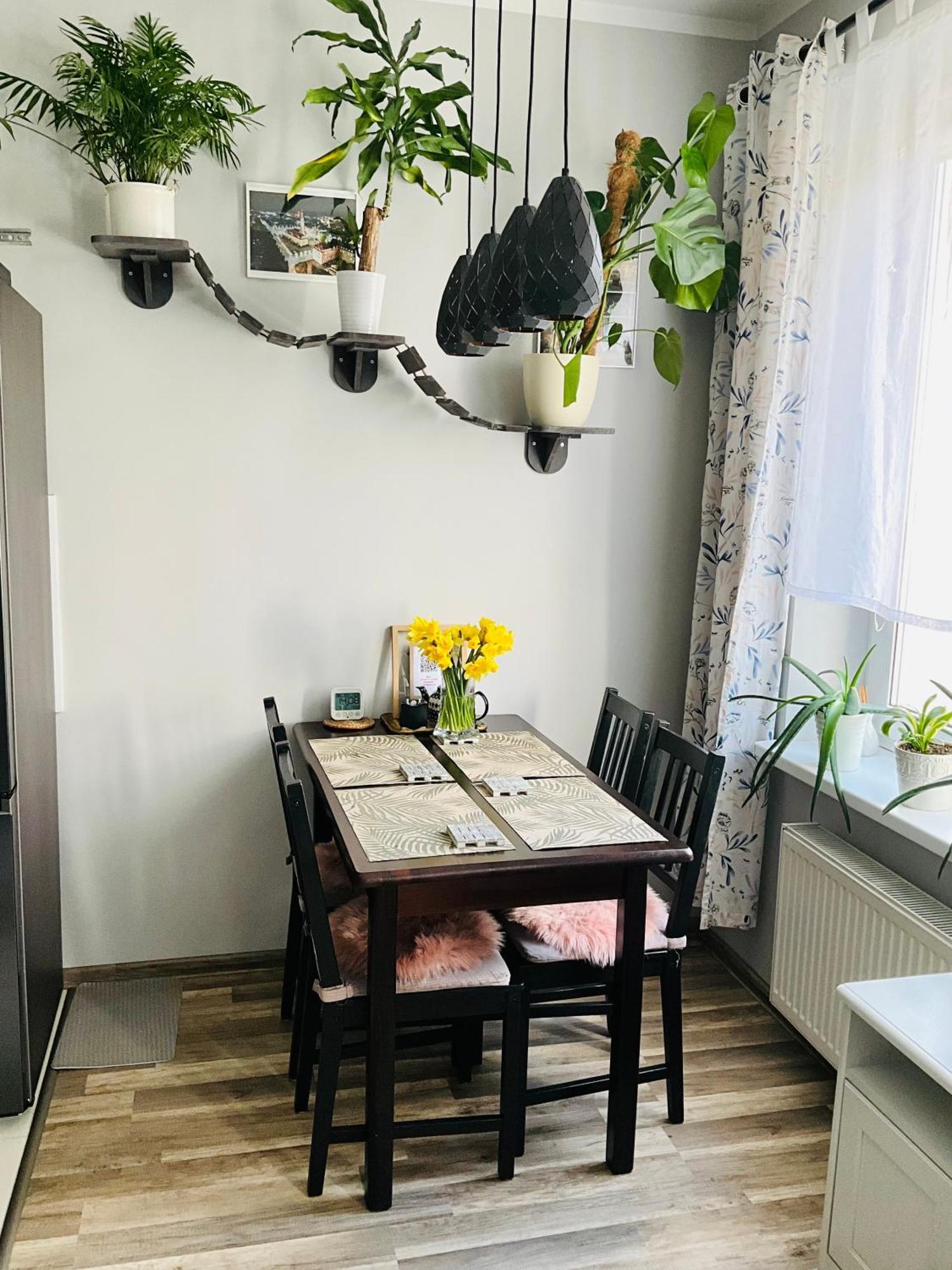 Apartament Na Starym Miescie Boleslawiec  Eksteriør bilde